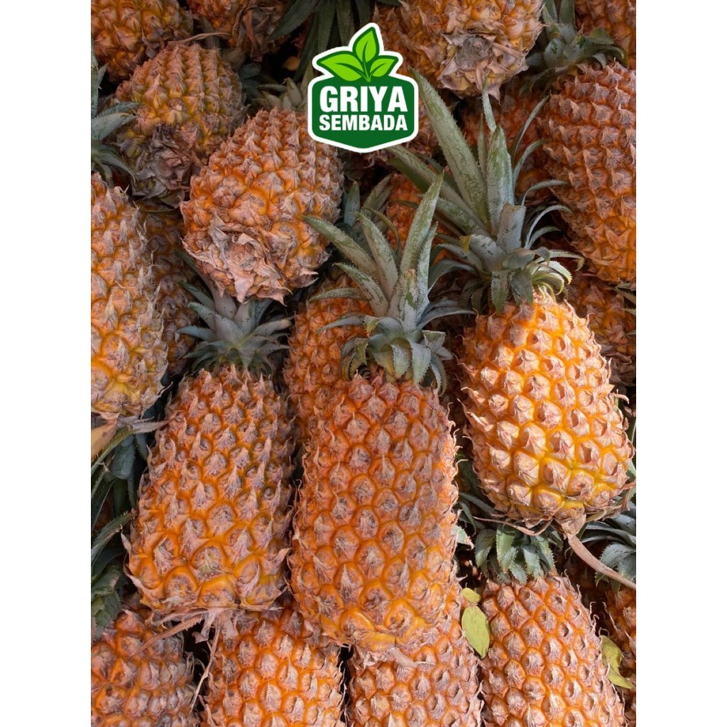 

instant Buah Nanas Palembang | Kupas dan Non Kupas Muda Setengah Matang berat random 400 - 1000 gram sameday/Griya Sembada