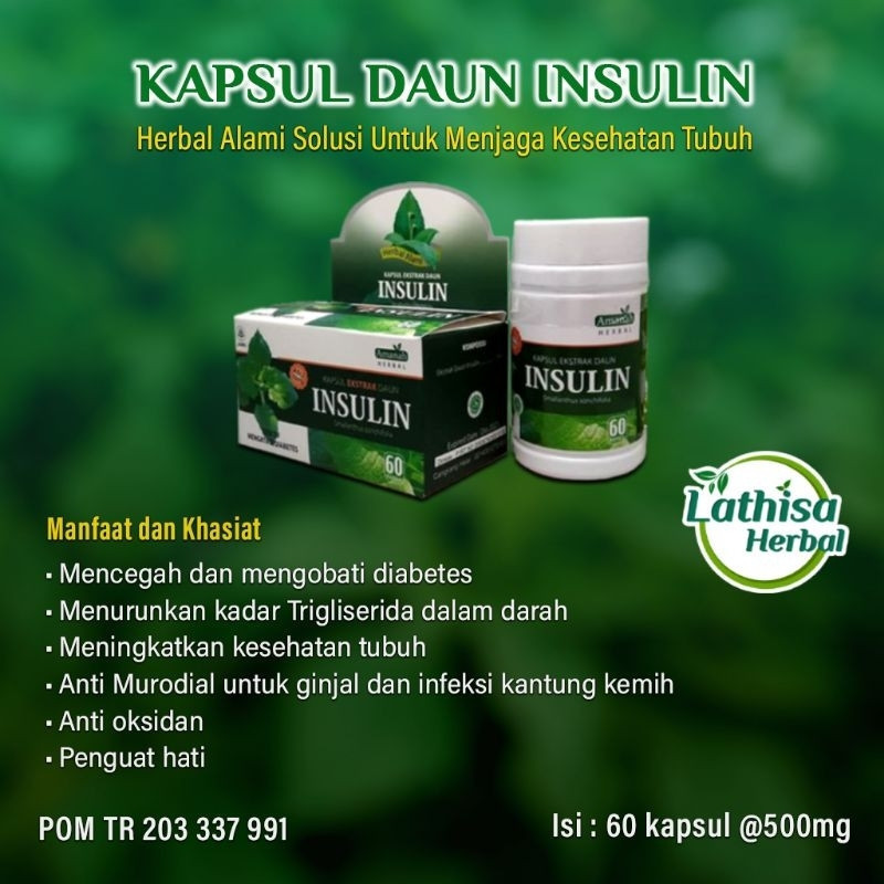 toko privasi KAPSUL DAUN INSULIN ISI 60 HERBAL MURNI ORIGINAL CV.HANIF HERBAL SOLUSI DIABETES DAN KE