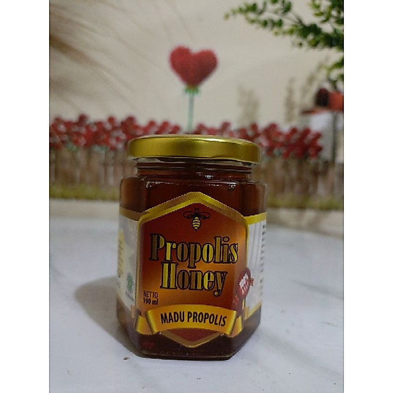 Madu Pramuka Propolis Madu Propolis 200gr