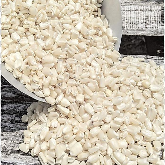 1000 Gram Jagung Ketan Putih Pulut Kering Mentah,Bahan Bubur Diskon Sale