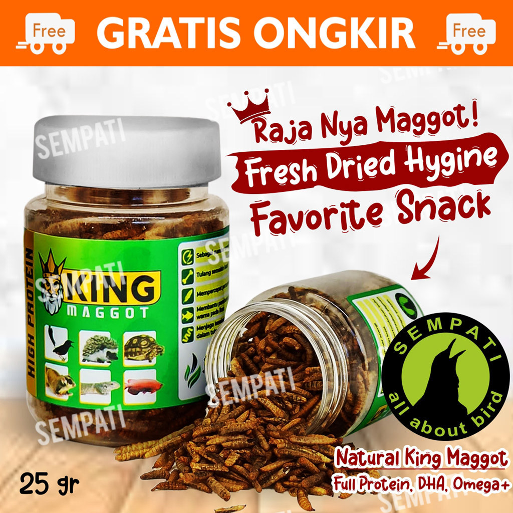 SEMPATI KING MAGGOT SEMPATI BSF SUPER MAGOT MAGGOT KERING DRY FRESH MAGOT PAKAN MAKANAN IKAN ARWANA 