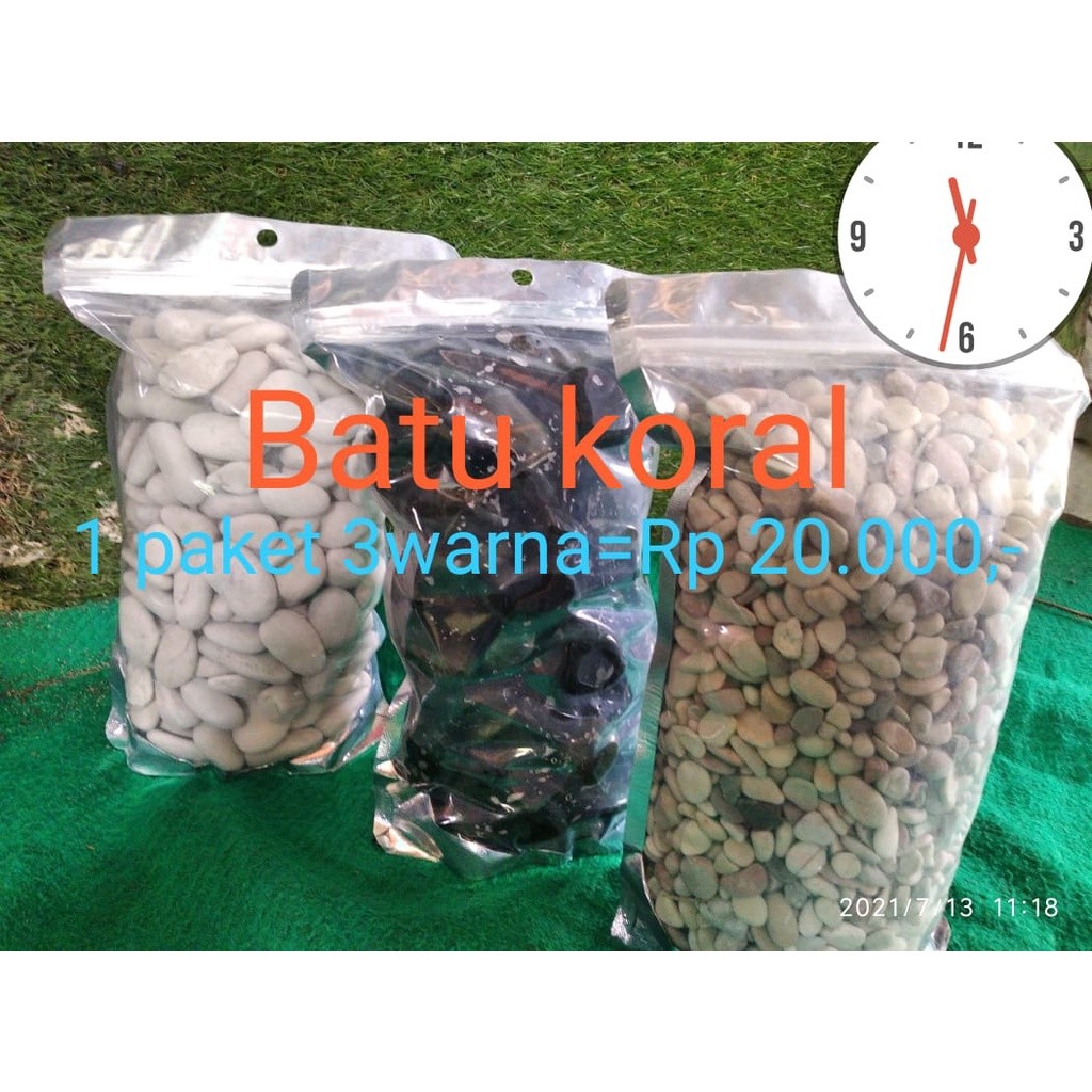 Paket Batu Koral Pancawarna/Batu koral putih / hitam