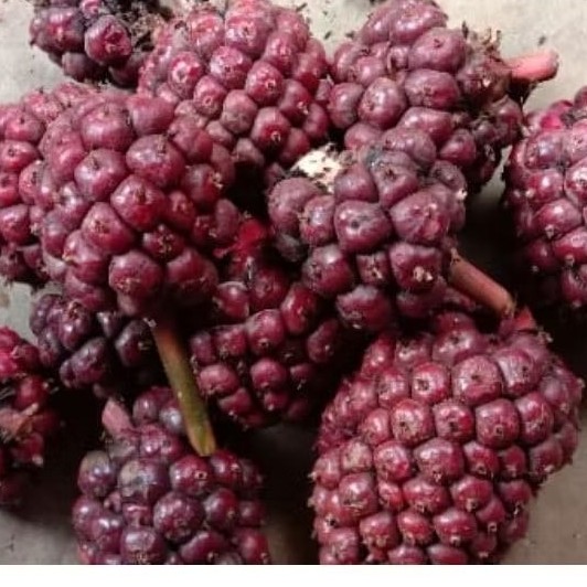 Honje laka honje hitam herbal khas Pangandaran berat 500gr