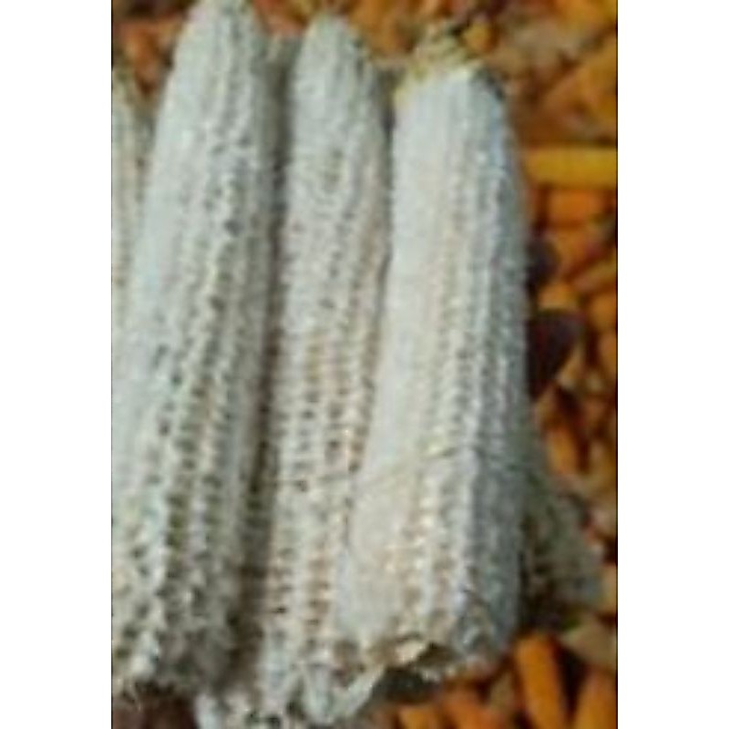 tongkol jagung 1 kg
