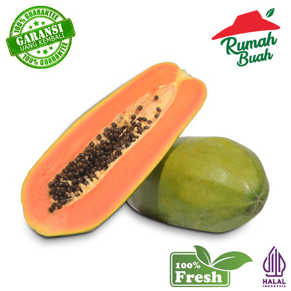 

BUAH PEPAYA PAPAYA CALIFORNIA [RUMAH BUAH] 1PC BEST SELLER