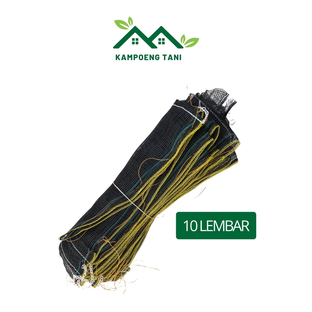 10 Karung Hitam Baru Plus Tali Bungkus Buah Klengkeng Matoa Cover Buah Bungkus Klengkeng