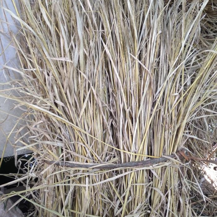 

jerami padi kering 1kg bahan dekorasi atau media kandang dll