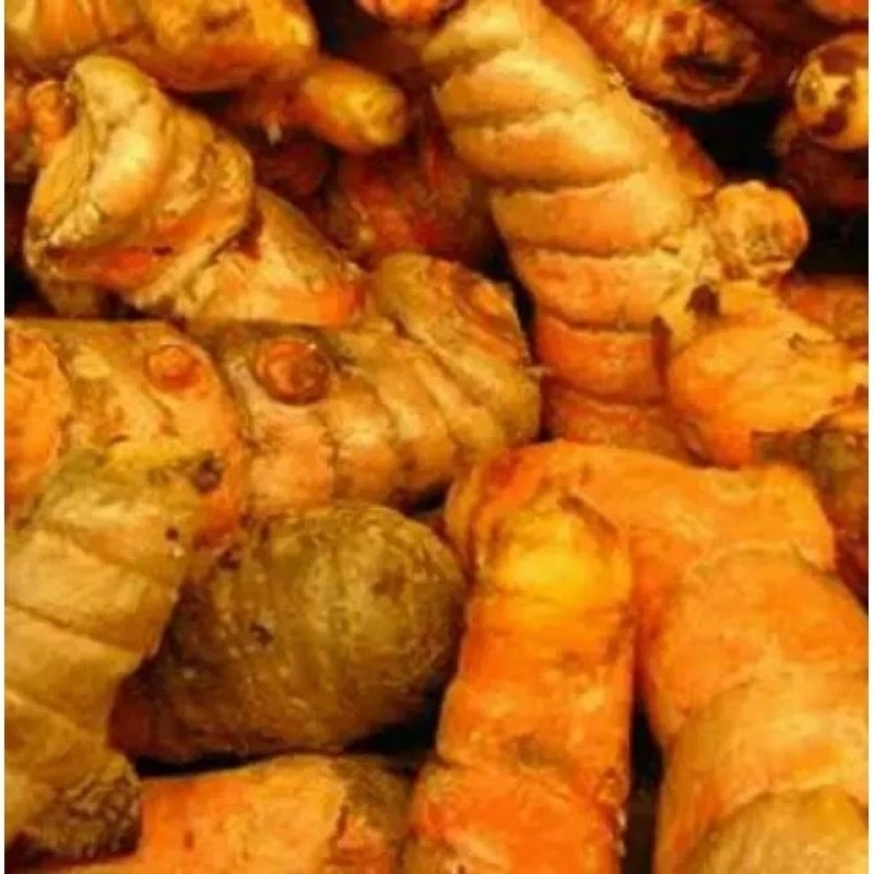 

kunyit segarKunyit segar SUPER 250gr MURAH ALAMI LANGSUNG PANEN DARI KEBUN