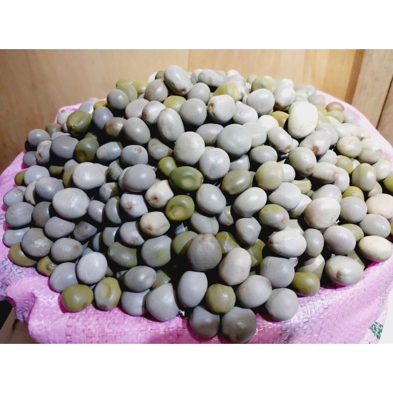 

1 kg buah kebiul biji gorek biji paring batung kalaloyang