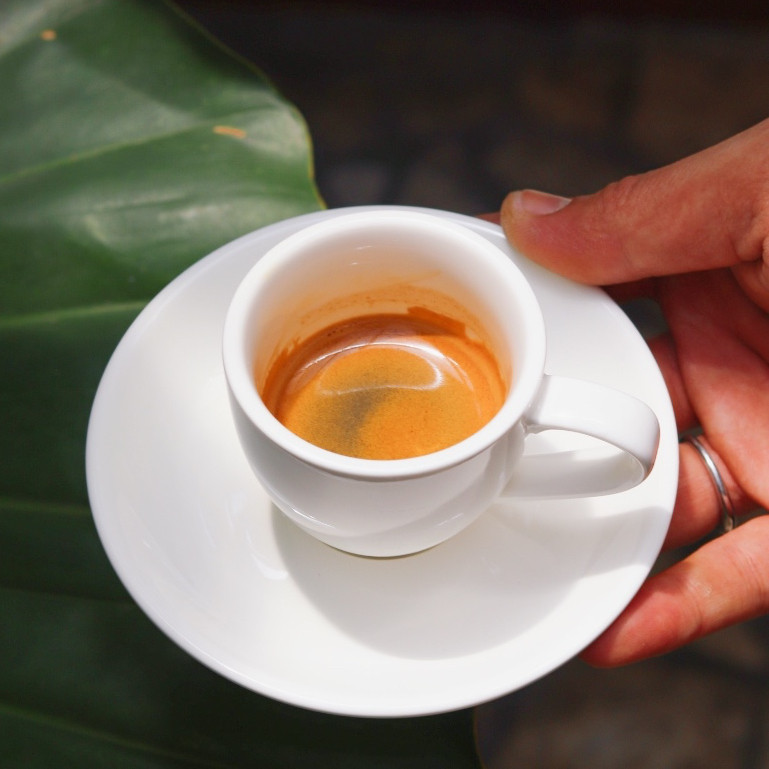 

JAMIN MURAH !!!Kopi Espresso Blend Kopi Susu Arabica Robusta PREMIUM (500 gr) ARABUSTA GREEK FREAK(BISA LANGSUNG ORDER)