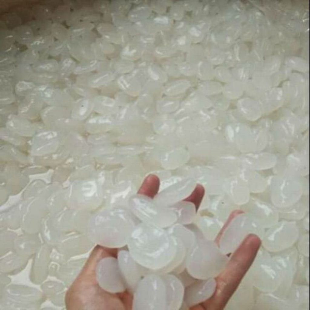 kolang kaling segar kolang kaling super kolang kaling medan kualitas terbaik 1 kg