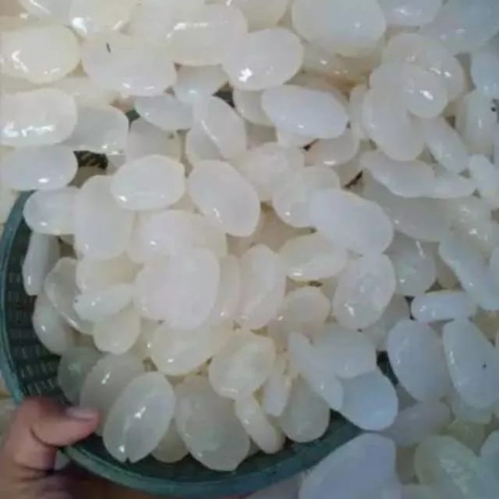 kolang kaling segar kolang kaling medan kualitas terbaik kolang kaling 1kg