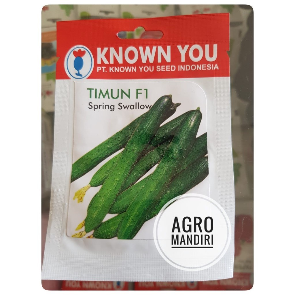 Benih Timun Jepang Spring Swallow F1 isi 26 Biji Known You Seed [AMS-01]
