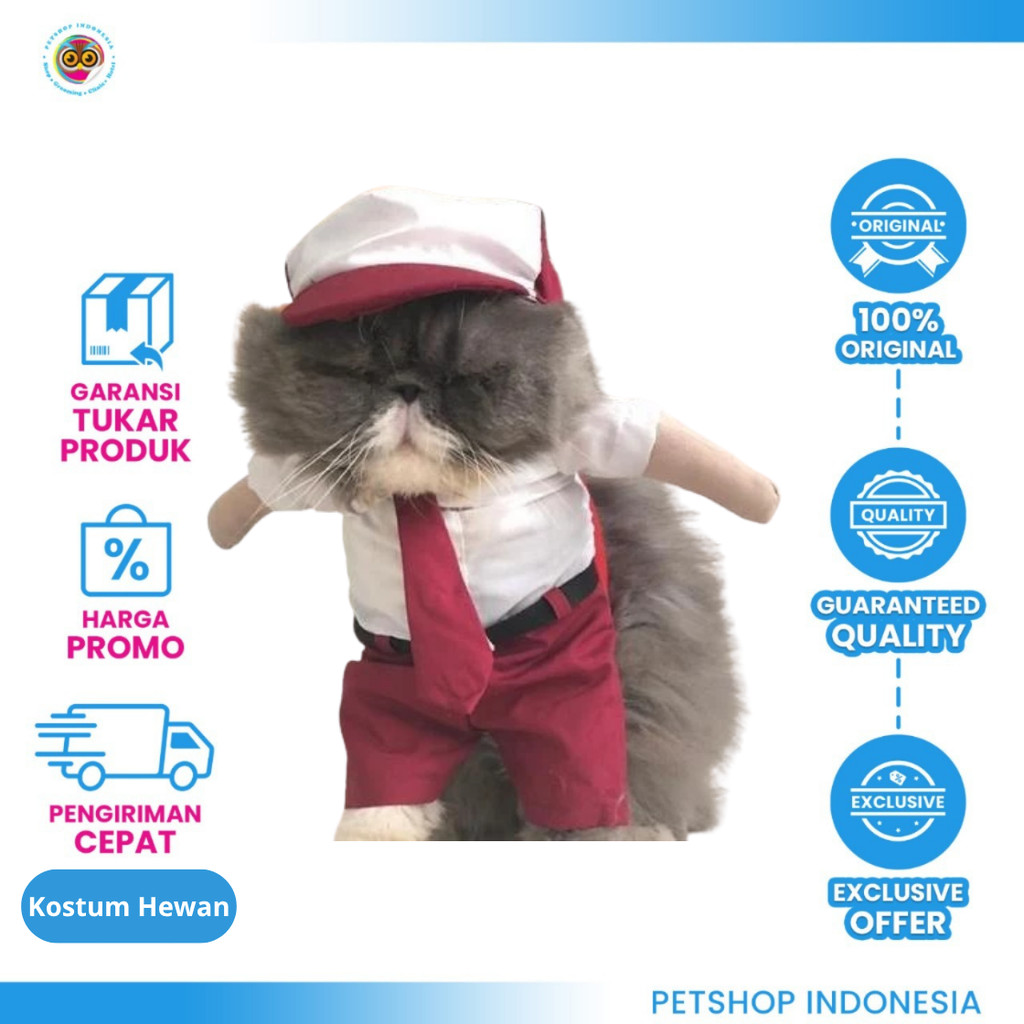 Kostum Anak SD untuk Kucing - Baju Kucing