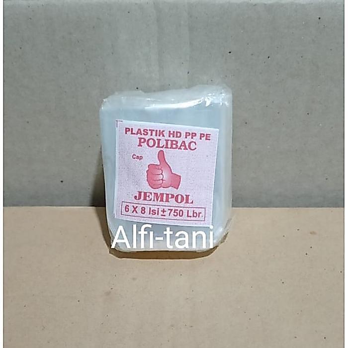 Plastik semai 6x8 plastik semai benih cabe dll