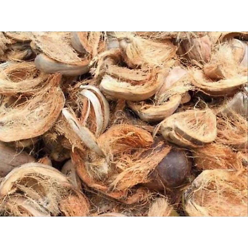 Sabut kelapa kering