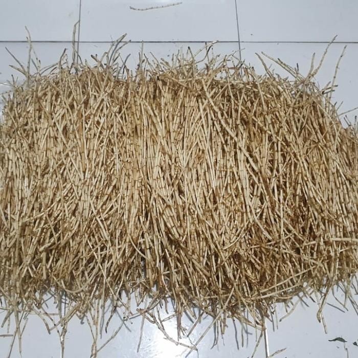 

akar alang alang segar 1kg