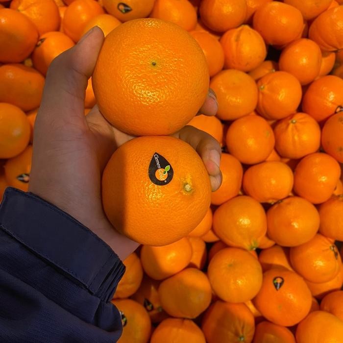 

Clement Gold Seedless Africa Jeruk Clemen Manis Segar Tampa Biji Fresh 1 Kg Jeruk Segar Tanpa Biji 1 Kilogram