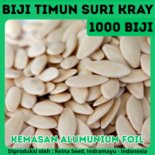1000 BIJI BENIH TIMUN SURI KRAY LALAP KUALITAS UNGGUL