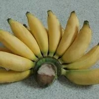 

[COD] Pisang Muli per 1 Kg [JUAL HASIL ALAM]