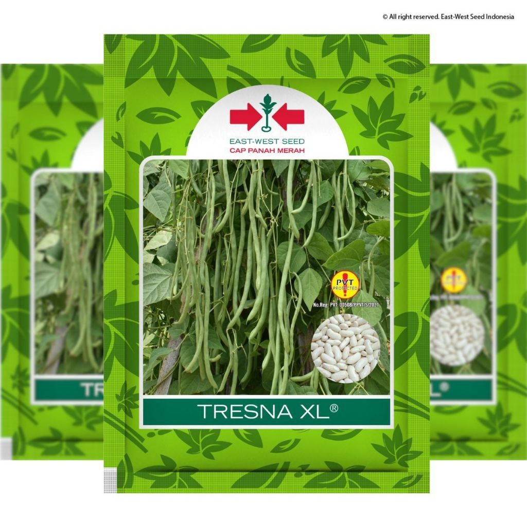 NANGULANGIN  Benih Buncis Polong Hijau TRESNA & TRESNA XL Original Panah Merah Isi 500gr