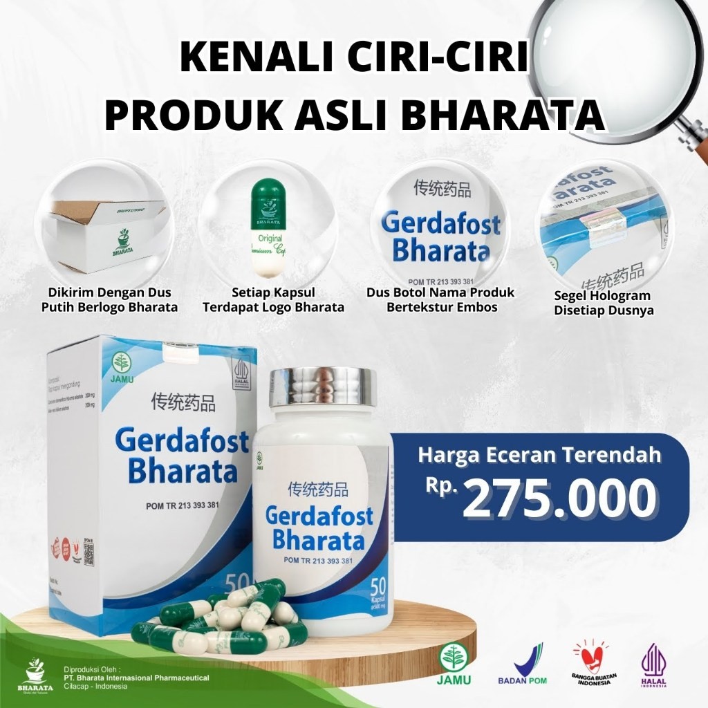 Gerdafost Bharata Obat Gerd Maag Kronis Usus Buntu Gerdafost Bharata Isi 50 Kapsul