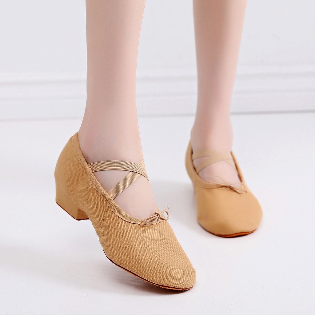 Canvas Breathable Latin Dance Shoes Dance Practice Shoes High Heel Women's Dance Shoes Ballroom Danc