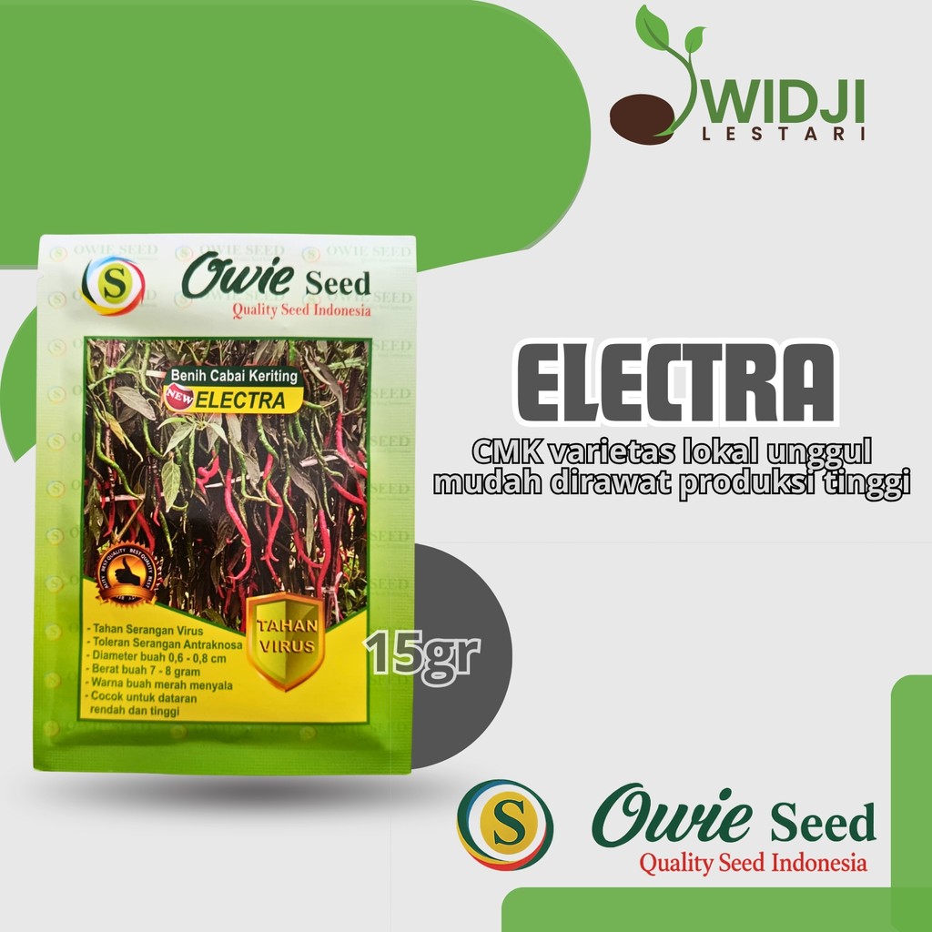 Cabe Electra Benih Cabe Tahan Virus Original Pabrik 13gr