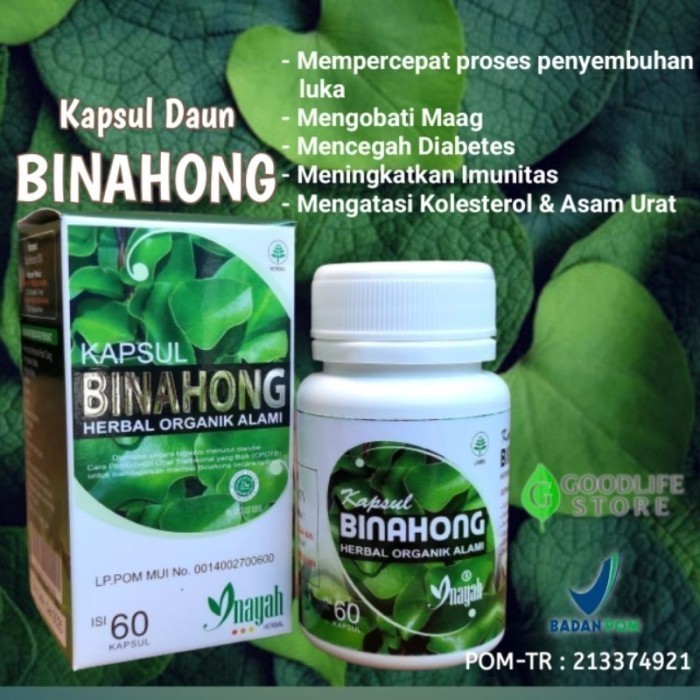 original Kapsul Daun Binahong 1 box isi 60 kapsul ori