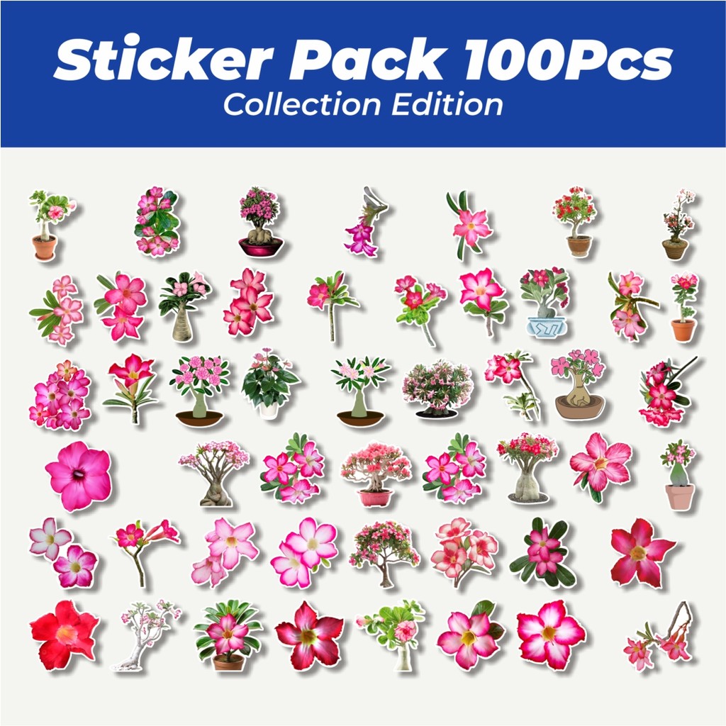 

Hot Stiker Bunga Adenium Flower Lucu Anti Air Stikers Berperekat Waterproof Sticker Decal Buat Motor Helm Buku Journal Koper Casing HP Laptop Botol Minum