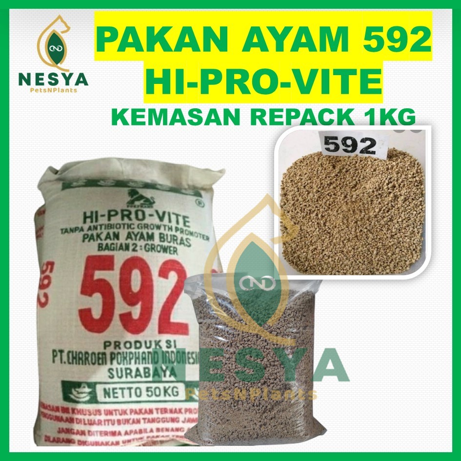 Pakan Ayam 592 Pur Ayam Bangkok Muda 592 Kemasan Repack 1kg