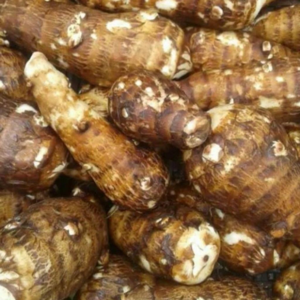 

New- Promo COD Umbi talas ungu /talas kimpul pilihan berkualitas 1kg