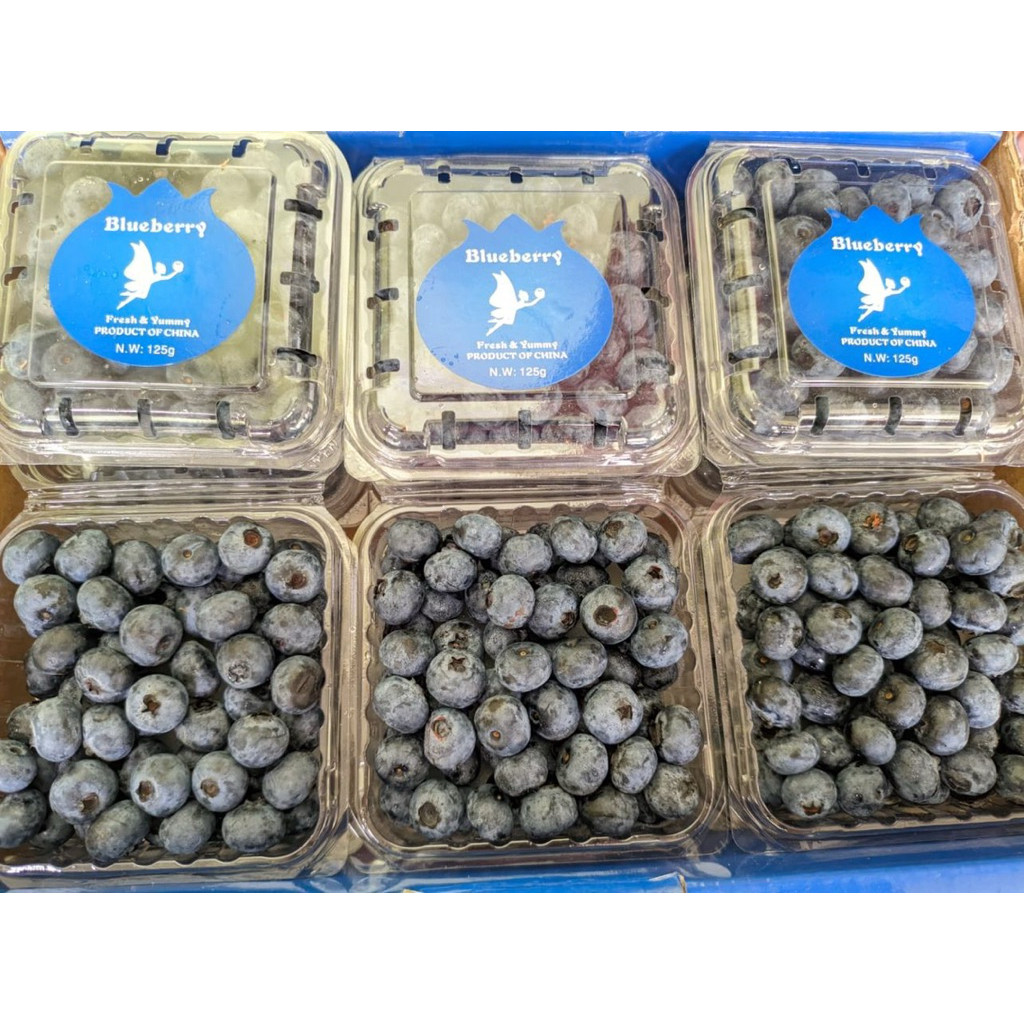 

Instant BLUEBERRY PACK IMPORT Sameday - Griya Sembada