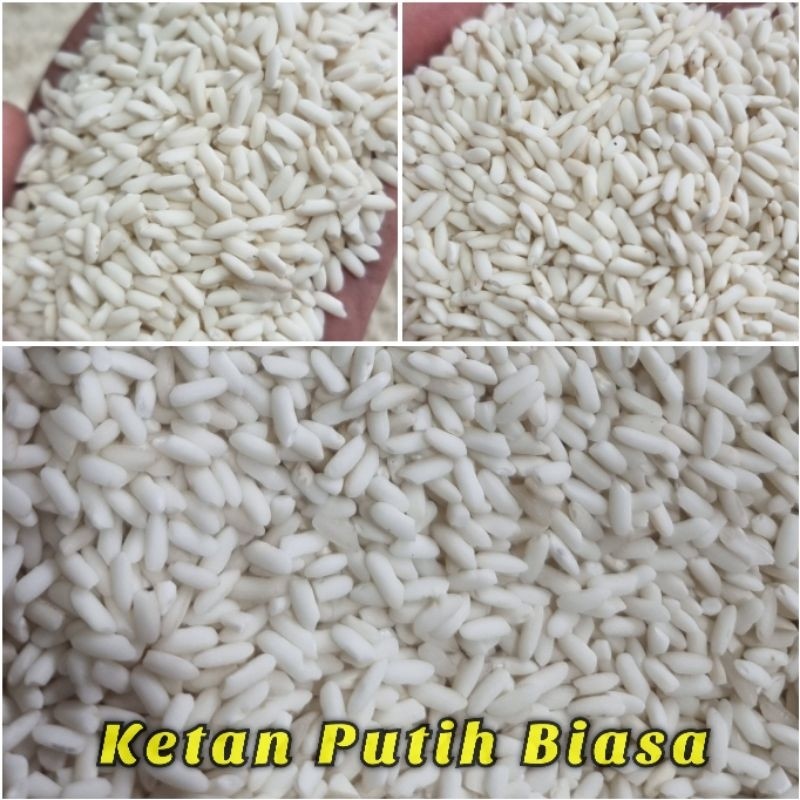 Ketan Putih 5 KG Beras Ketan Original - Bambu Wangi