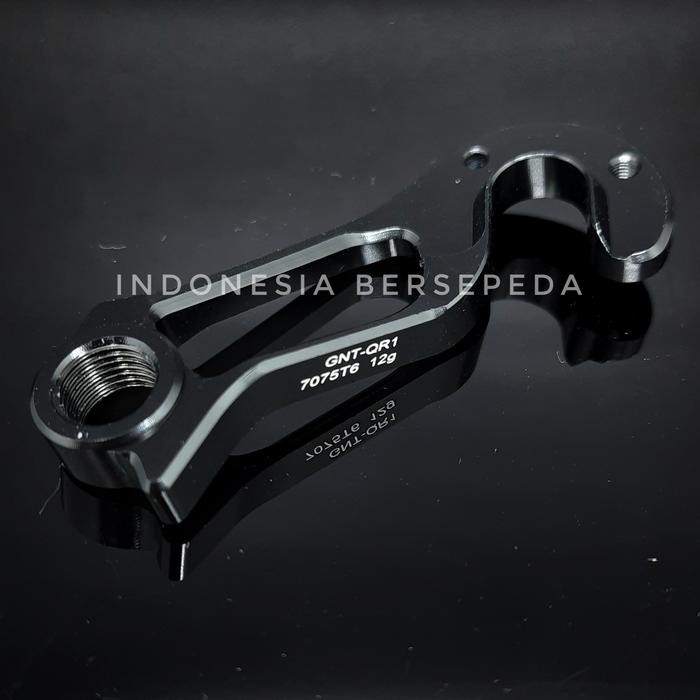 Direct Mount Derailleur Hanger For Giant TCR ADV New Propel Devy QR by Mitra Hobby