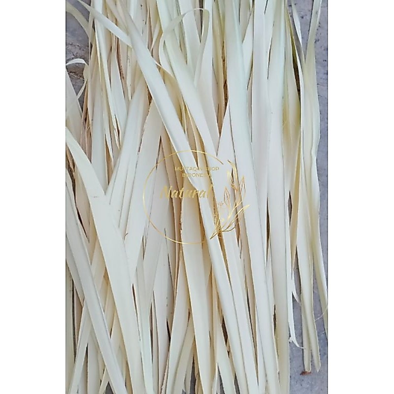 DAUN LONTAR BAHAN KEPIKAN SLOMPRET REOG & JARANAN 30 HELAI LEBAR FULL