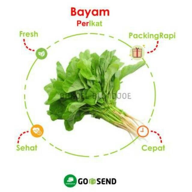 

BAYAM PER IKAT / SPINACH / FRESH VEGETABLES / VEGETABLE / SAYUR SAYURAN SEGAR
