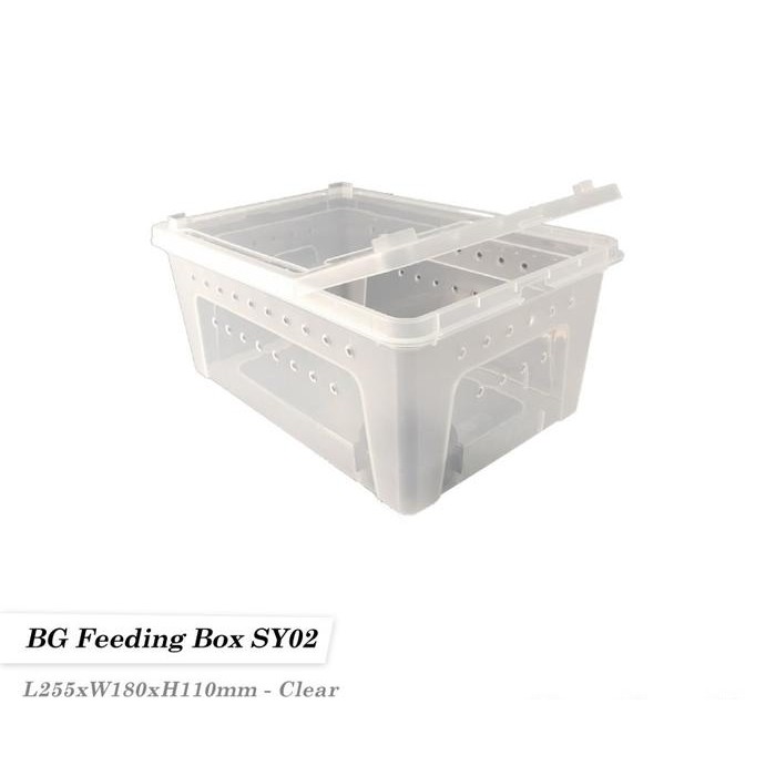 Reptile Plastic Feeding Box Kotak Reptil / Box Kandang Tarantula - Small, Clear