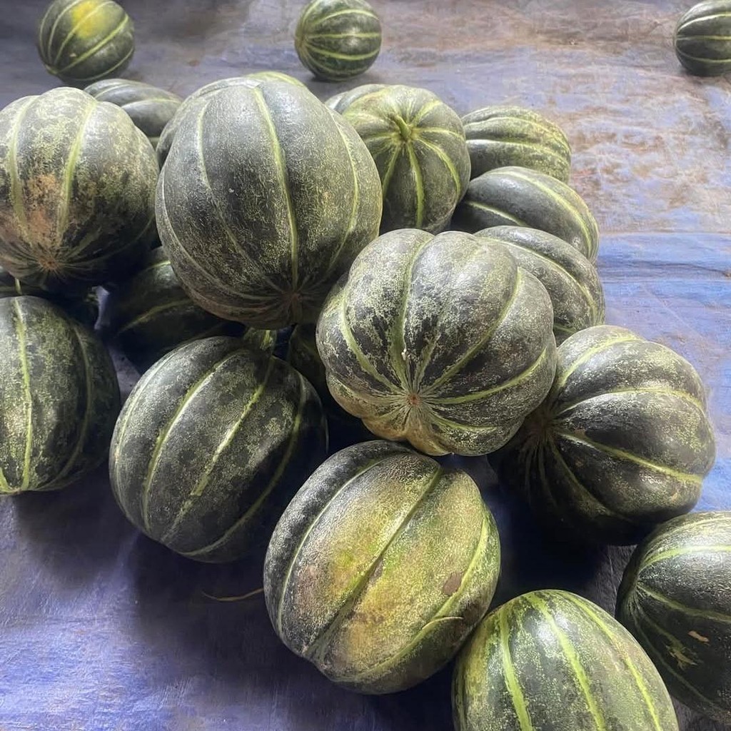 

BUAH BLEWAH SEGAR DAN MANIS 1 KG