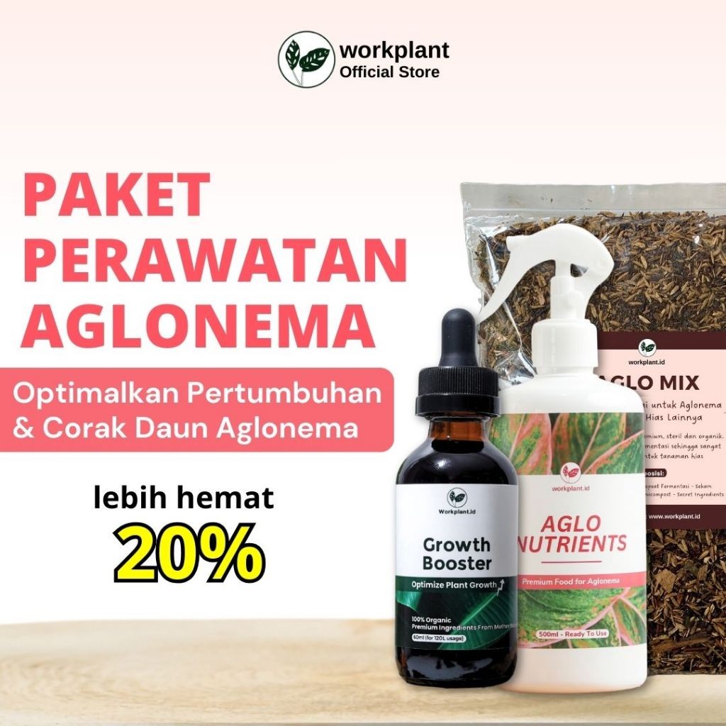 Workplant - Paket Perawatan Aglonema Growth Booster Pupuk Cair Nutrisi Media Tanam Tanaman Hias Aglo
