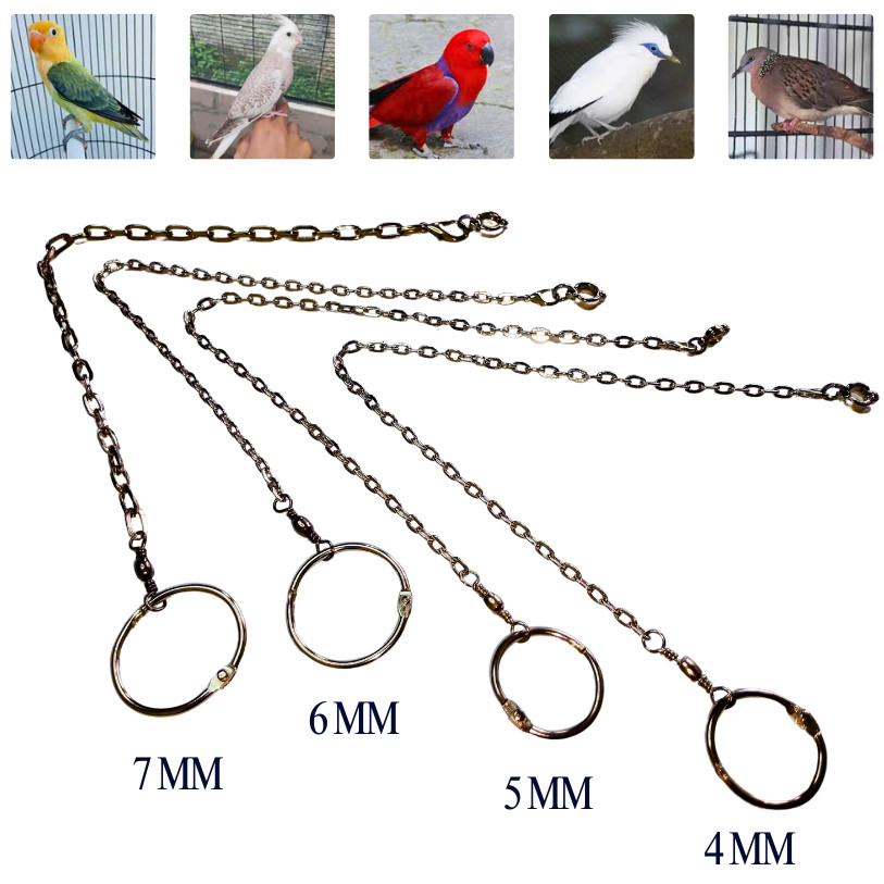 Rantai Burung Falk Stainless Steel Borgol Kaki untuk Parkit Australia Cockatiel Omega