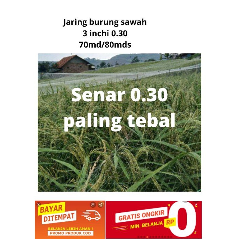 NR99KDM Jaring burung sawah senar paling tebal 0.30 Lebih awet jaring padi jaring burung jebakan bur