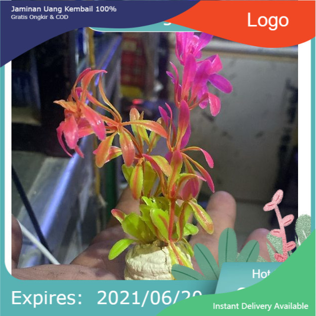 TEBING AQUARIUM TEBING BUNGA MINI TANAMAN PLASTIK AQUASCAPE AQUARIUM HIASAN AQUARIUM