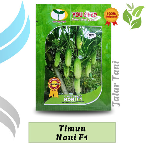 Timun Lalap Noni F1 Benih Unggulan You Seed