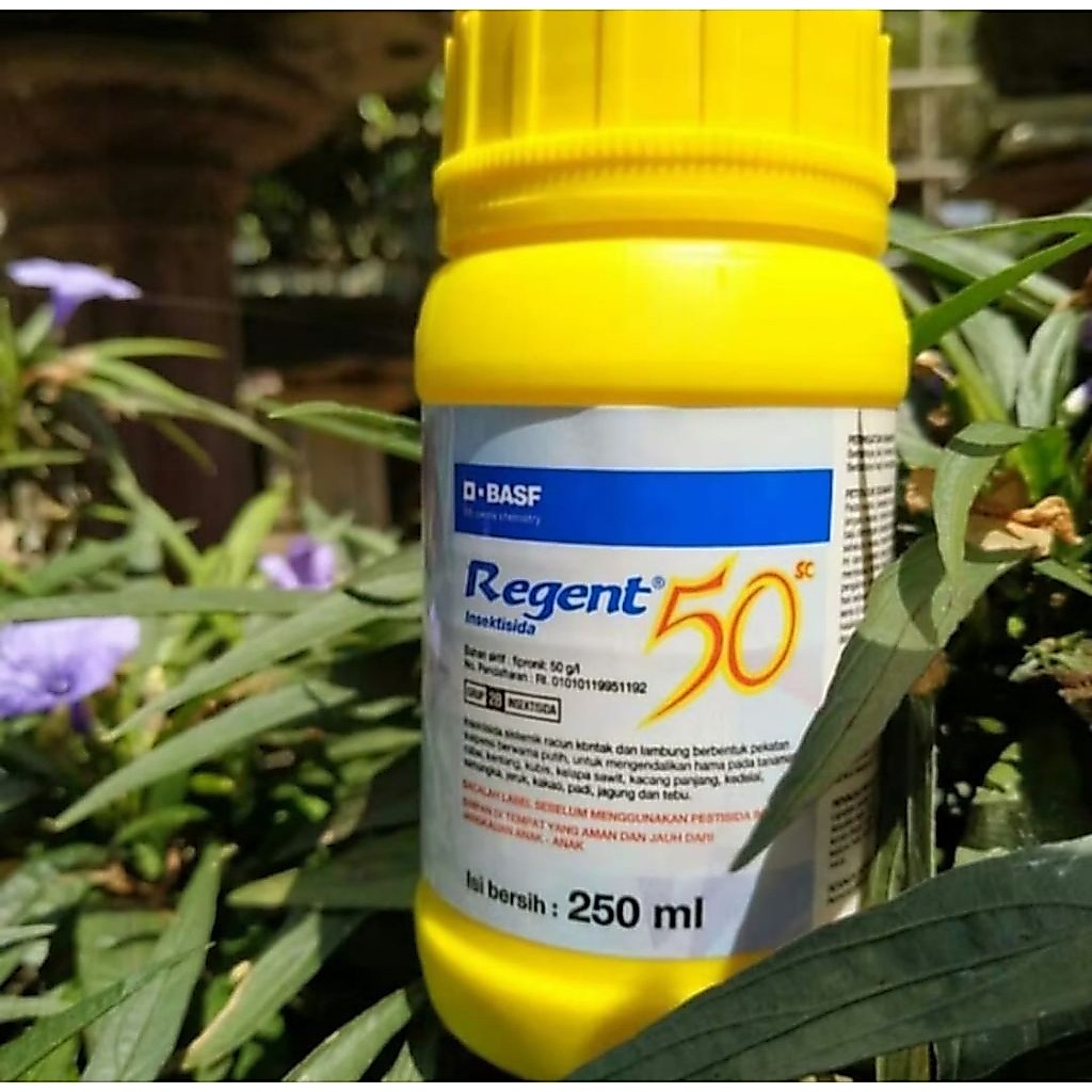Regent 250ml
