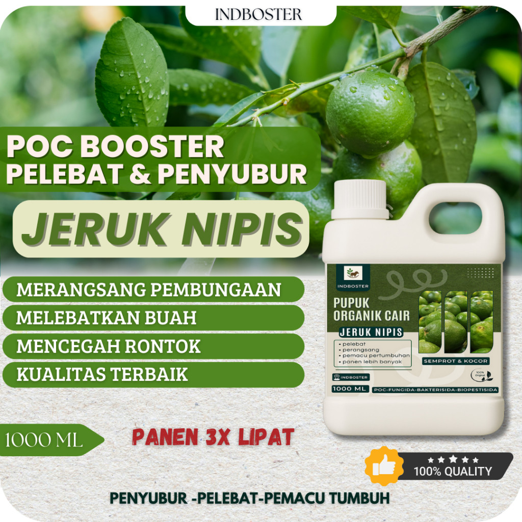 Pupuk Jeruk Nipis / Pupuk Buah Jeruk Nipis / Pupuk Cair Buah Pelebat Tanaman Buah Jeruk Nipis Pupuk 
