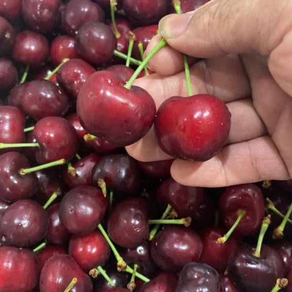 

Cherry fresh | Buah cherry red fresh | ceri merah 500 grm