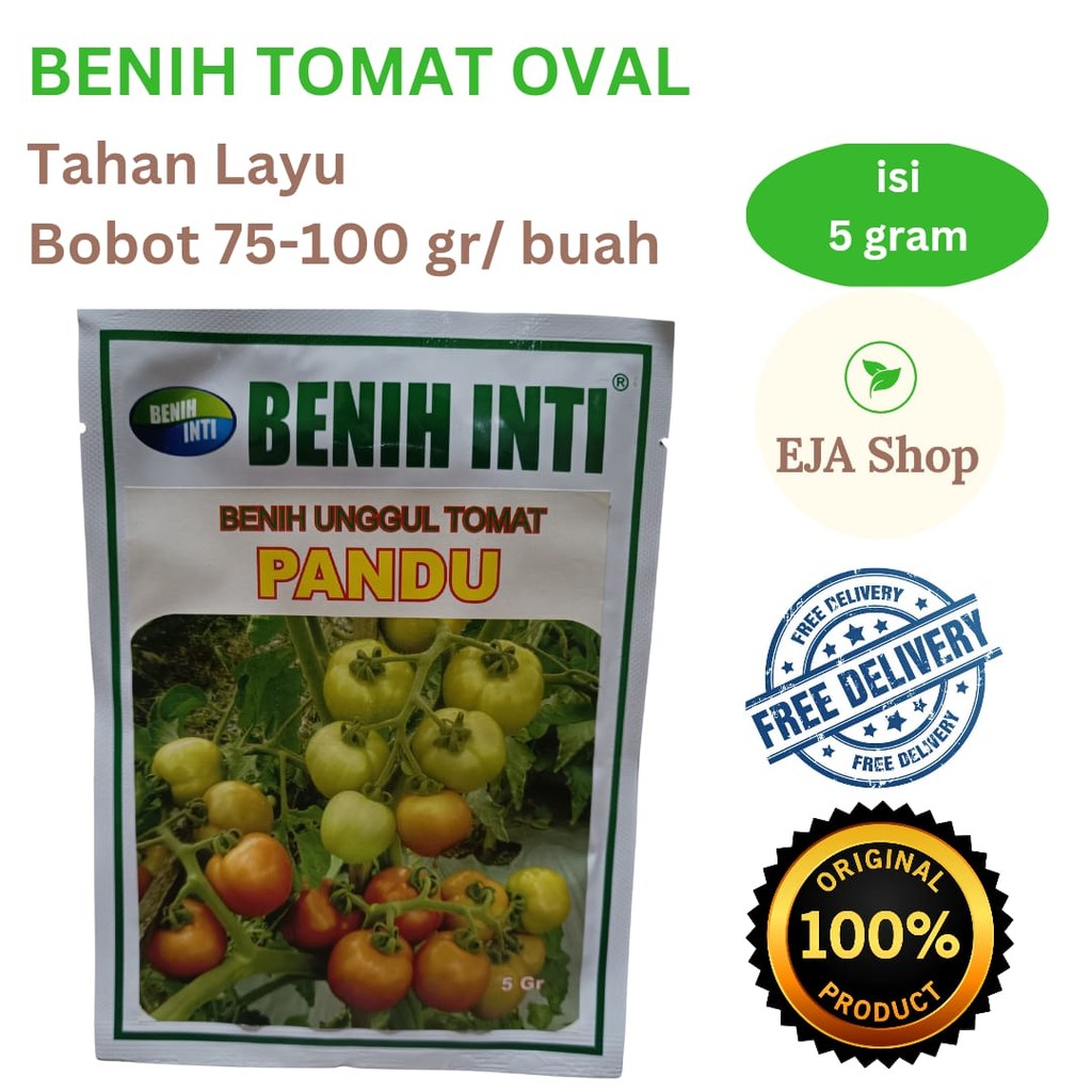 Benih Inti Unggul Tomat PANDU isi 5 gram