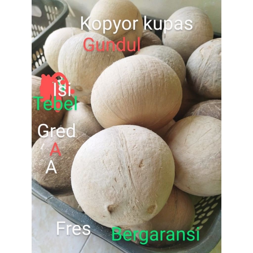 

kopyor utuh kupas bergaransi uk50-52cm