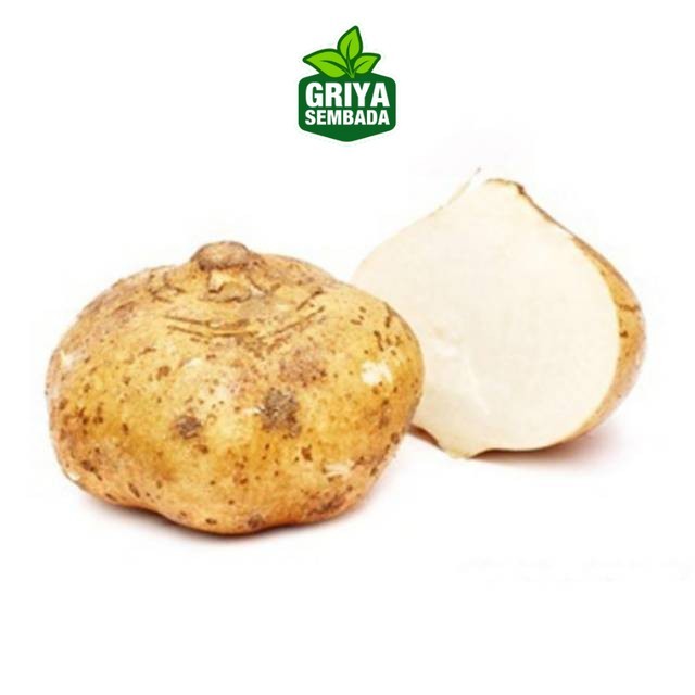 

instant BUAH BENGKOANG BENGKUANG FRESH sameday/Griya Sembada